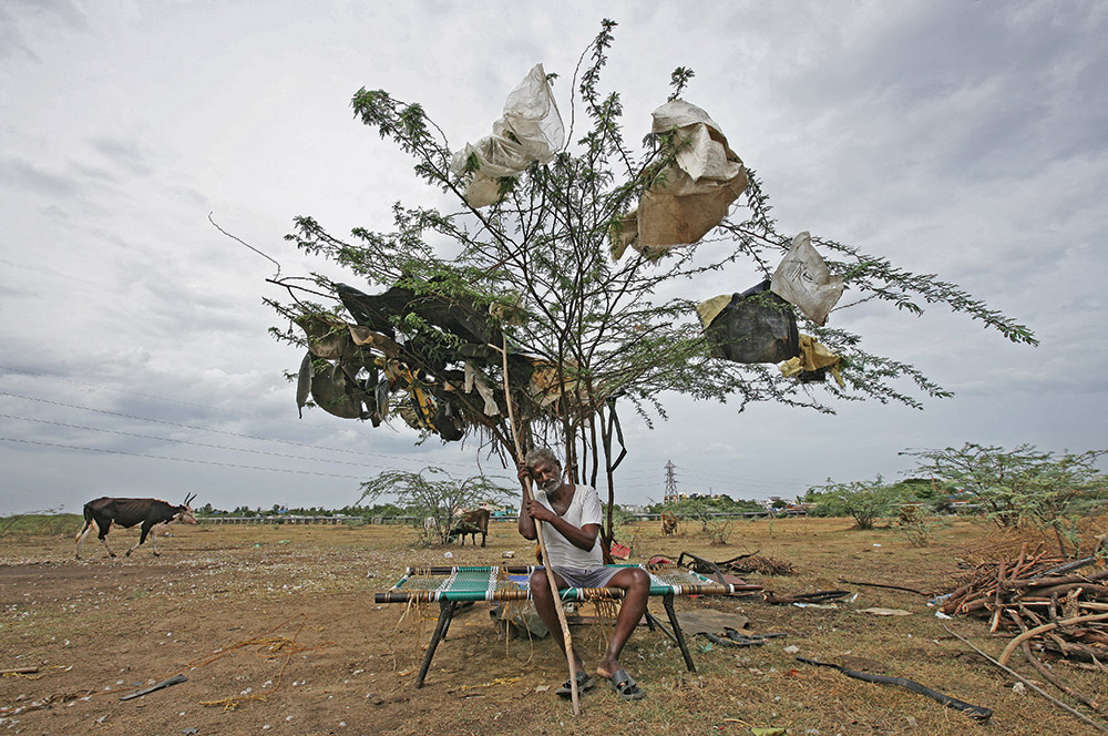 A shepherd takes rest under a tree on a dried-up lake on the outskirts of Chennai, India. Lost opportunity for cultivation of crops brought on by climate change has led to lost wages and increased debt for farmers in rural India.