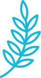  2025/12/home-issues-mass-violence-atrocities-icon.png